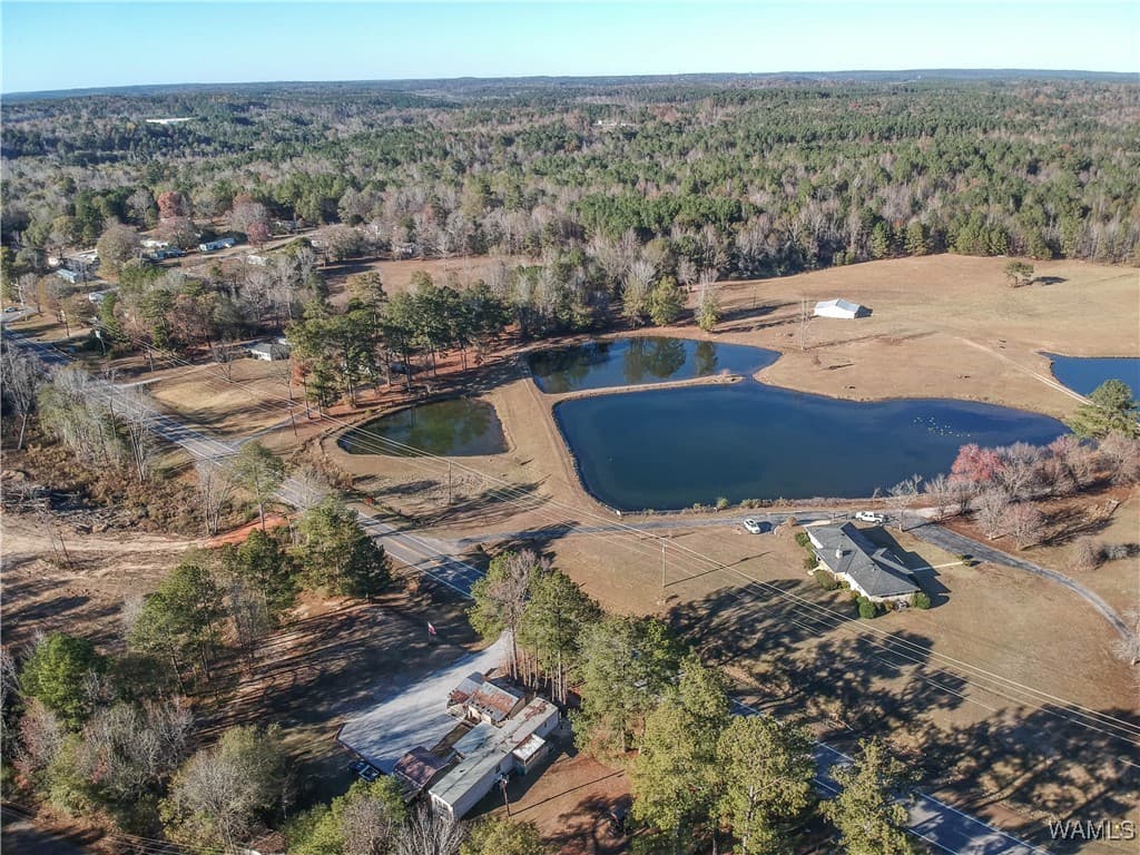 16414 Hwy 11 N, Vance, AL 35490