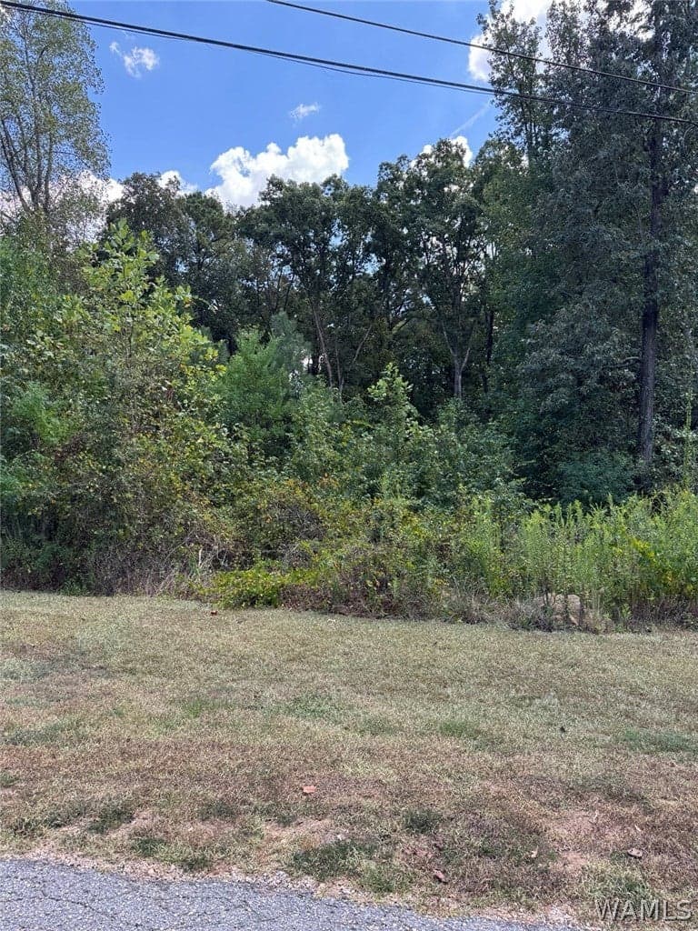 2107 Fountain Way, Northport, AL 35473